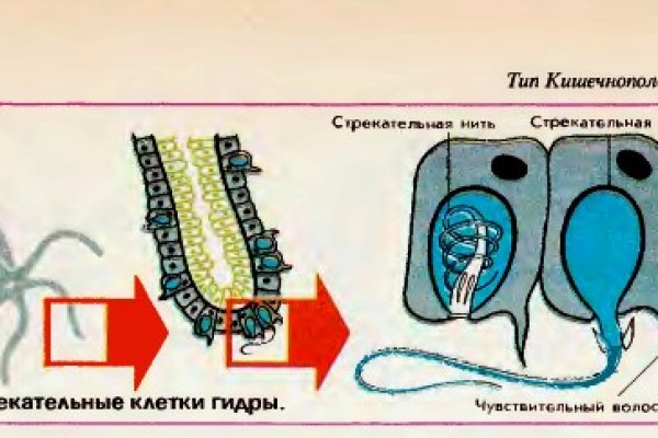 Сайт кракен онион